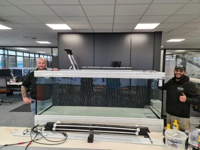 Glazen inpakken verhuizen